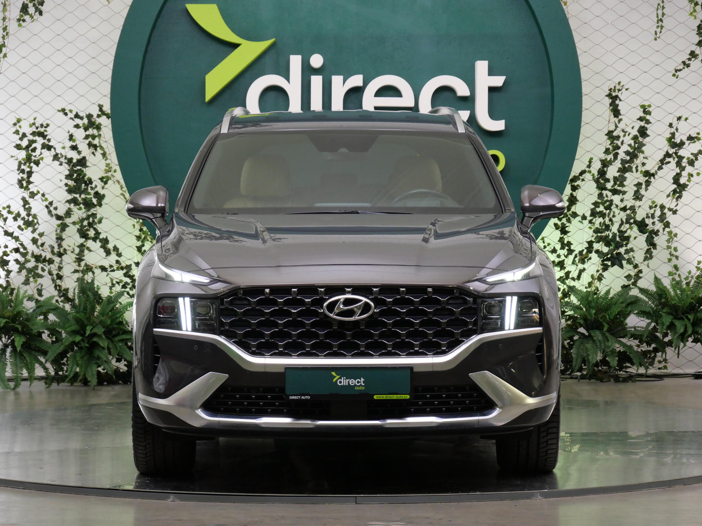 Hyundai Santa Fe 2.2 CRDi 142 kW Luxury