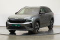 Škoda Kodiaq 2.0 TSI 195 kW 4x4 RS