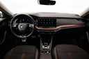 Škoda Octavia 2.0 TDI 110 kW DSG 4x4 Scout