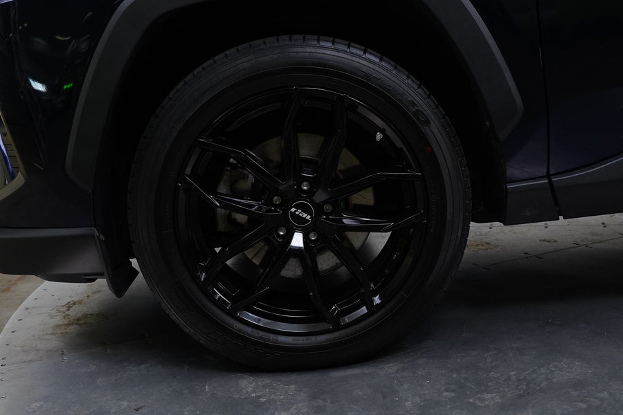 Toyota RAV4 2.5 Hybrid 131 kW Excutive – foto 10
