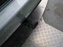 Volkswagen Golf 2.0 TDI 110 kW DSG R-Line