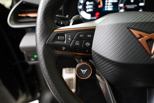 Cupra Terramar 2.0 TSI 150 kW DSG 4x4 – foto 15