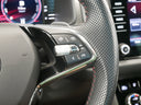 Škoda Kodiaq 2.0 TSI 180 kW 4x4 DSG RS