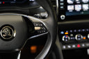 Škoda Kodiaq 2.0 TDI 147 kW DSG 4x4 Style+