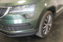 Škoda Karoq 2.0 TDI 110 kW DSG Style