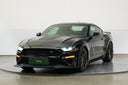 Ford Mustang 5.0 V8 514 kW Roush