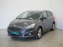 Ford S-MAX Ford S-Max 2,0 TDCi 110kW
