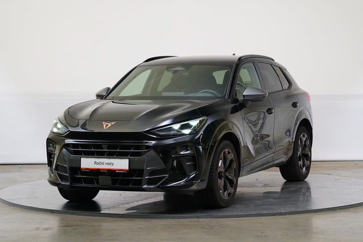 Cupra Terramar 2.0 TSI 150 kW DSG 4x4