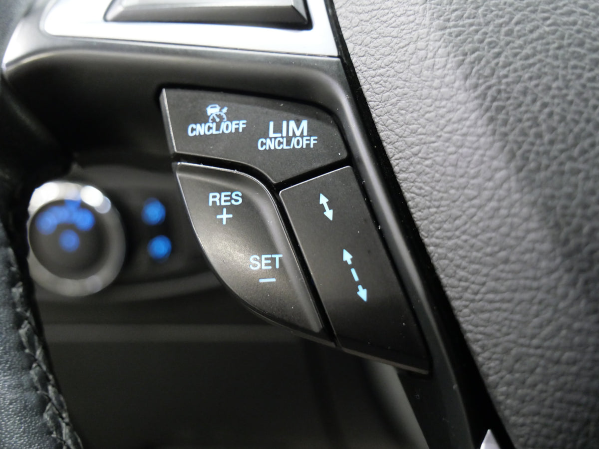 Ford S-MAX 2.0 EcoBlue 140 kW Vignale