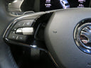 Škoda Octavia 2.0 TDI 110 kW DSG Style