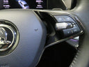 Škoda Octavia 2.0 TDI 110 kW DSG Style