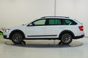 Škoda Octavia 2.0 TDI 135 kW Scout 4x4