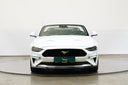 Ford Mustang 5.0 V8 330 kW GT