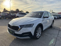 Škoda Octavia 2.0 TDI 147 kW DSG 4x4 Scout