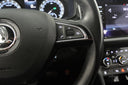 Škoda Kodiaq 2.0 TDI 140 kW DSG 4x4 Style