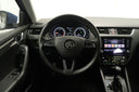 Škoda Octavia 2.0 TDI 135 kW 4x4 DSG Style